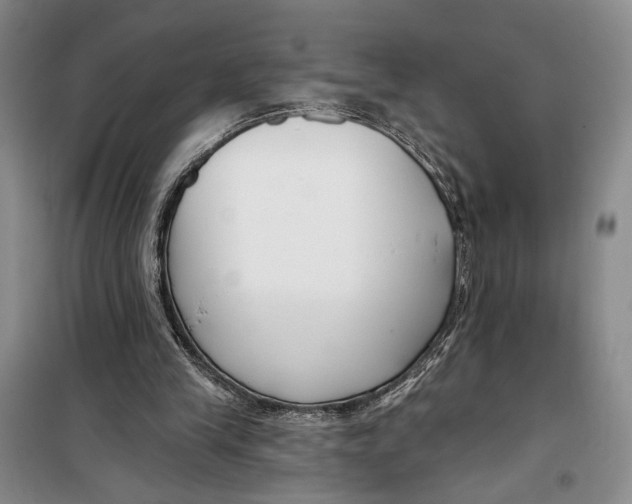 X0000099440245200805301457