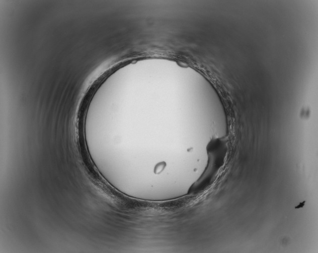 X0000099440246200805301457