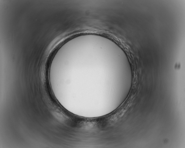 X0000099440247200805301457