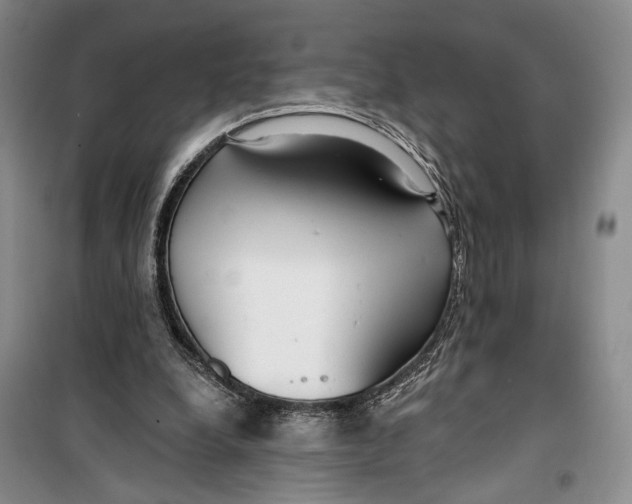 X0000099440248200805301457