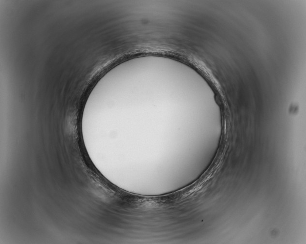 X0000099440249200805301457