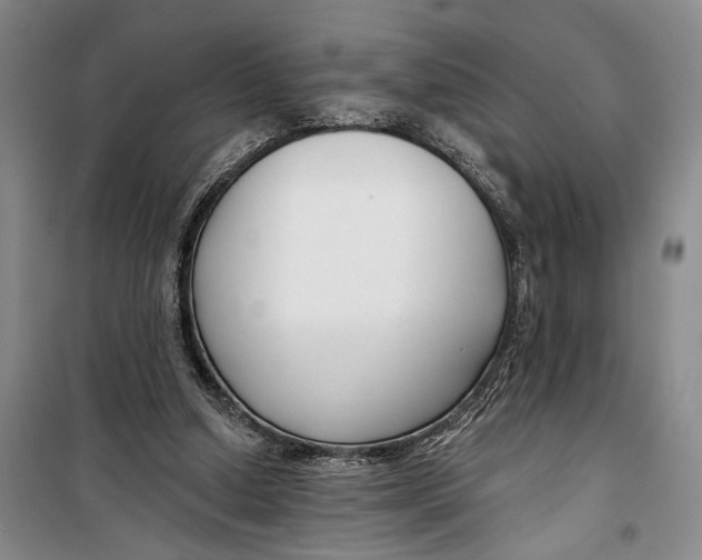 X0000099440250200805301457