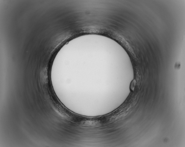 X0000099440251200805301457