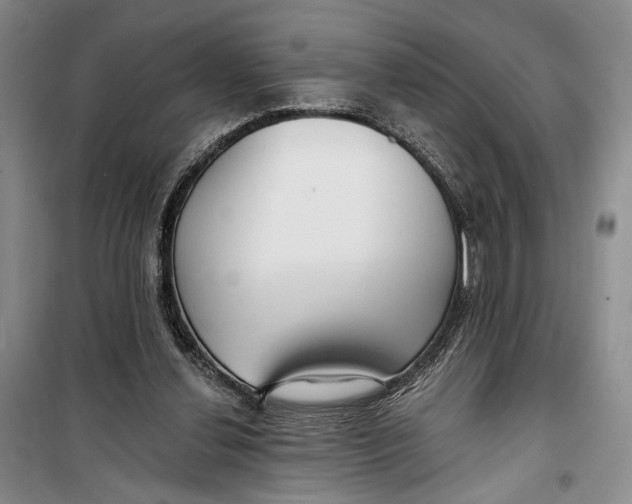 X0000099440252200805301457