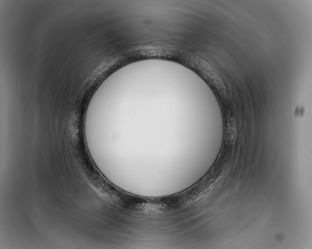 X0000099440255200805301457