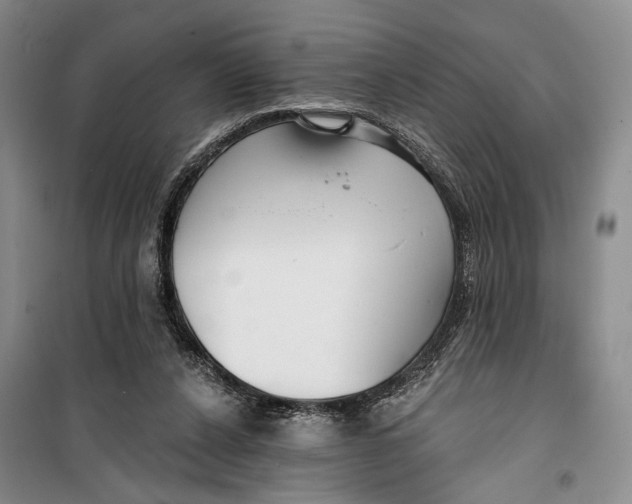 X0000099440256200805301457