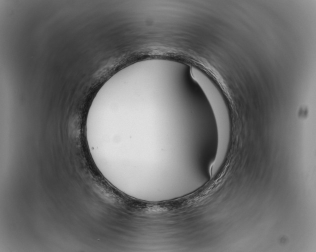 X0000099440257200805301457