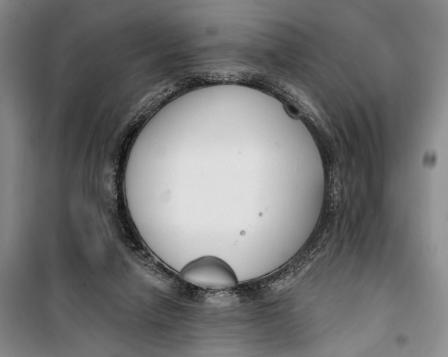 X0000099440258200805301457