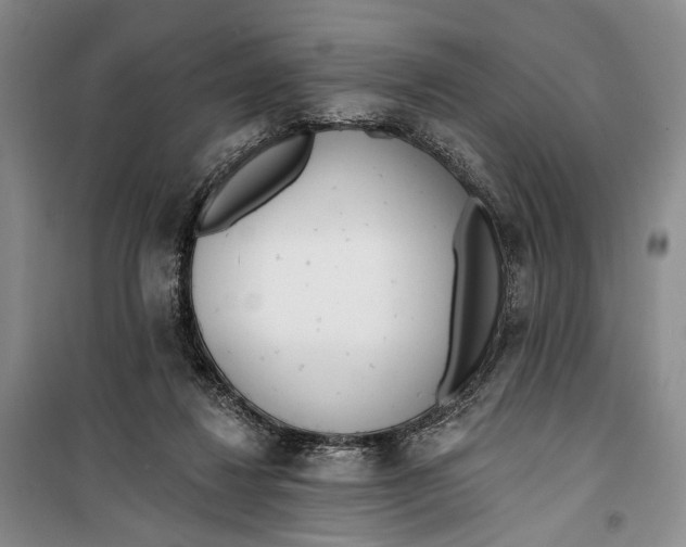 X0000099440260200805301457