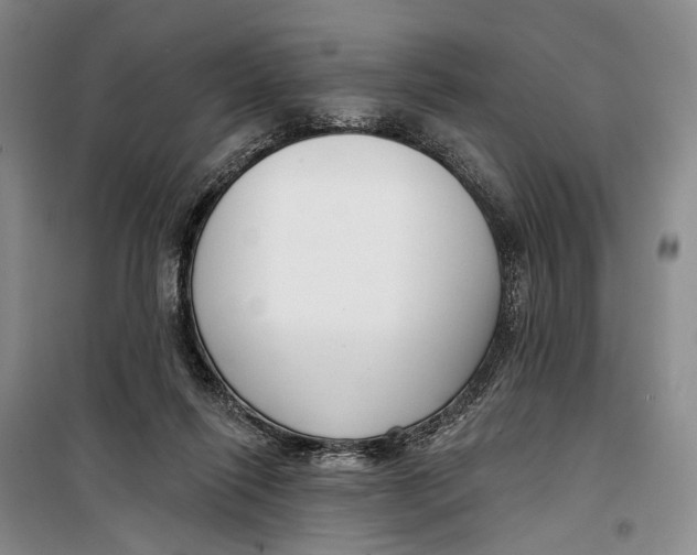 X0000099440262200805301457