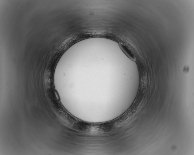 X0000099440264200805301457