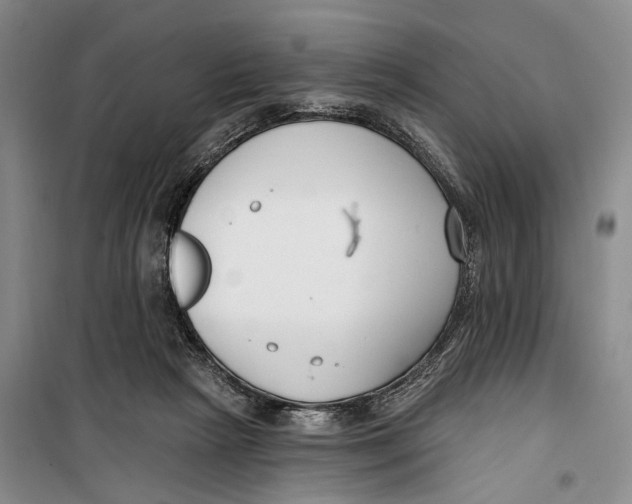 X0000099440265200805301457