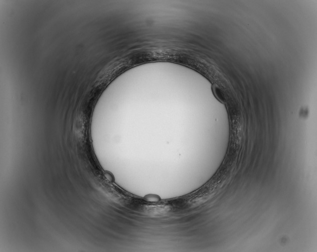 X0000099440266200805301457