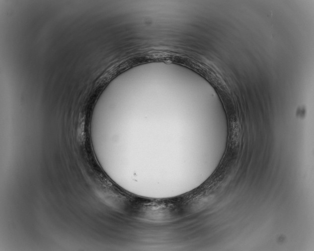 X0000099440267200805301457