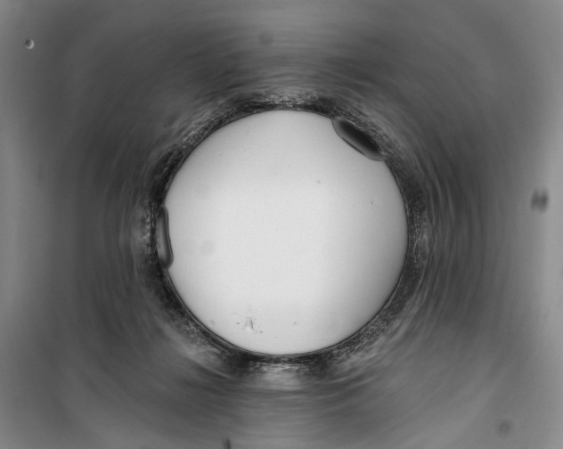 X0000099440268200805301457