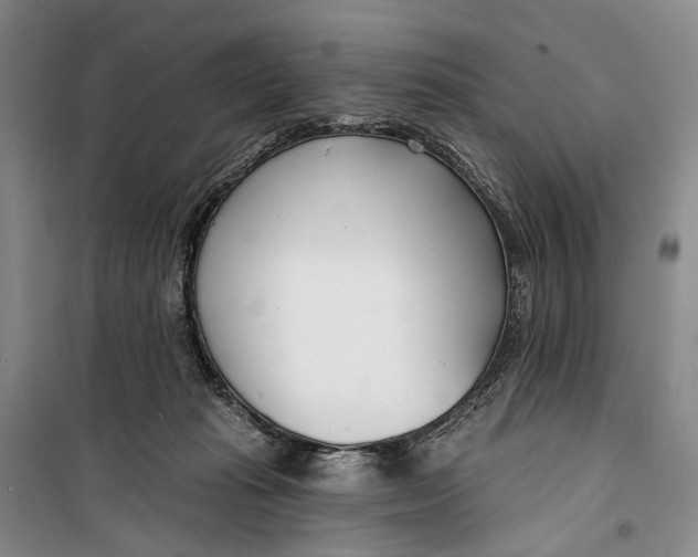 X0000099440269200805301457