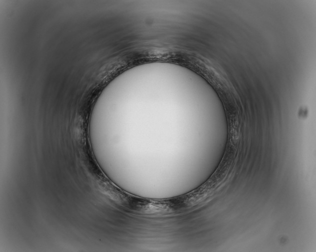 X0000099440270200805301457