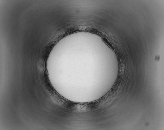 X0000099440272200805301457