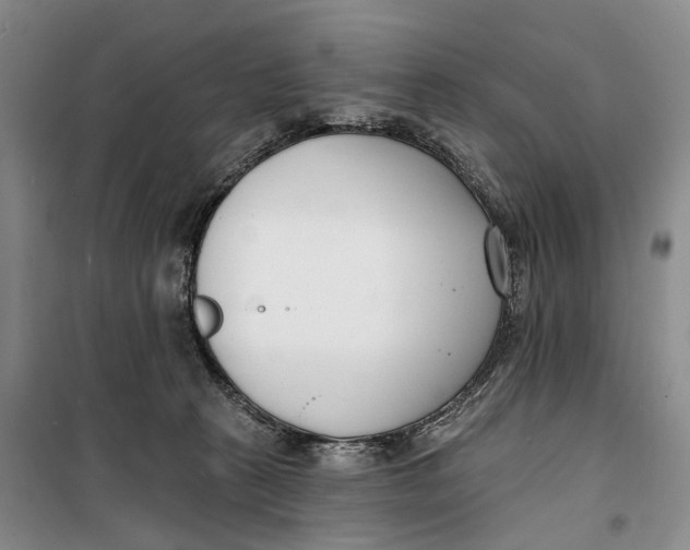 X0000099440273200805301457