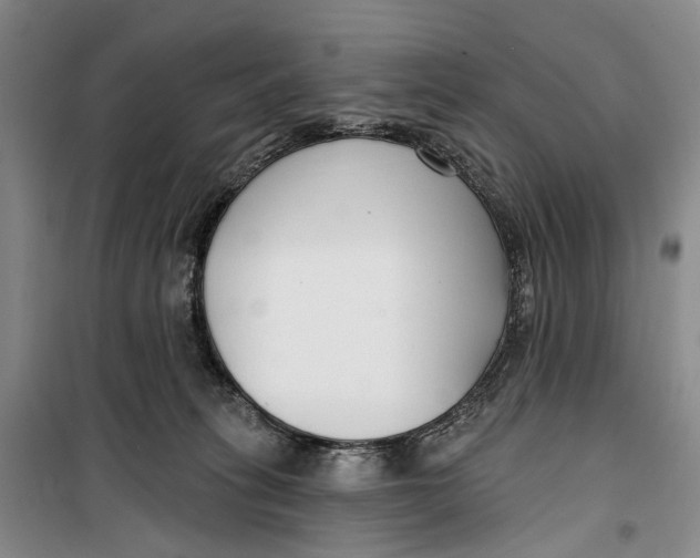 X0000099440275200805301457