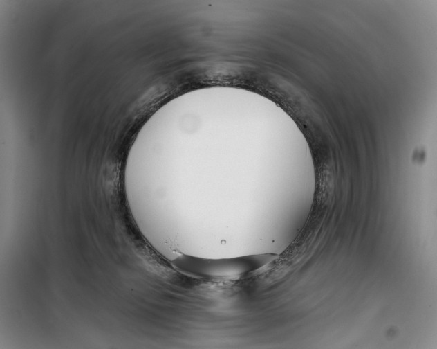 X0000099440278200805301457