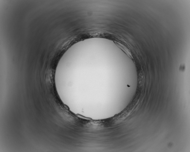 X0000099440280200805301457