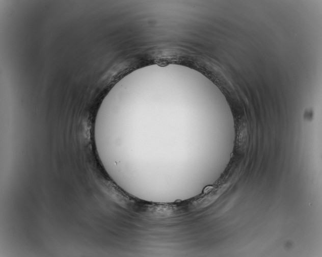 X0000099440282200805301457