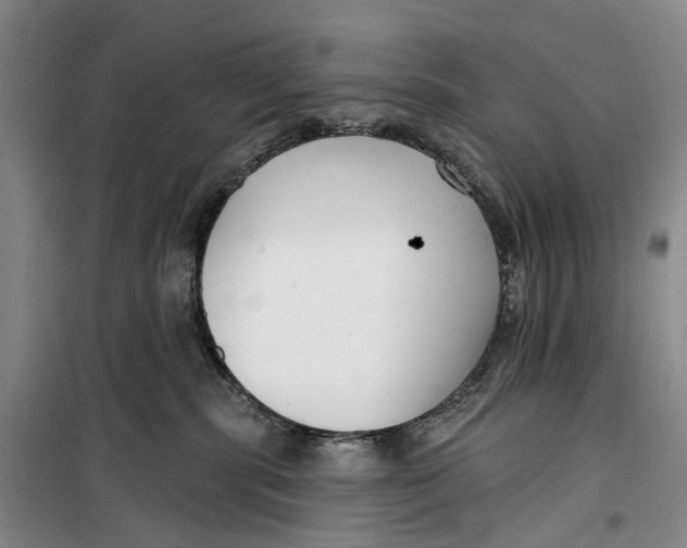 X0000099440283200805301457