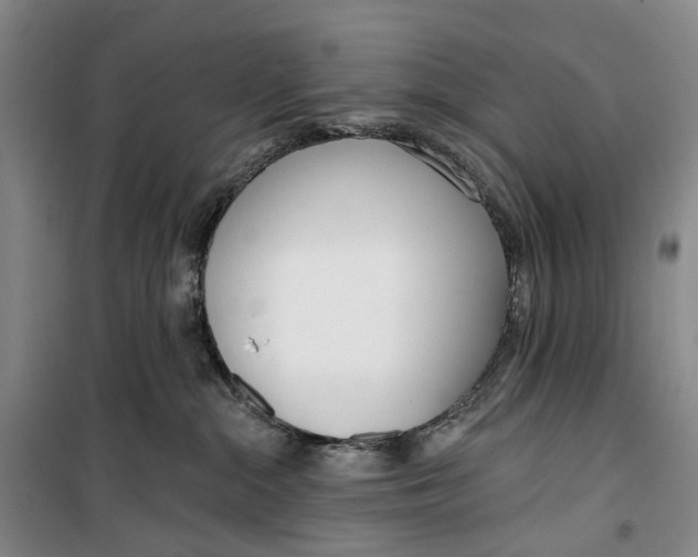 X0000099440284200805301457