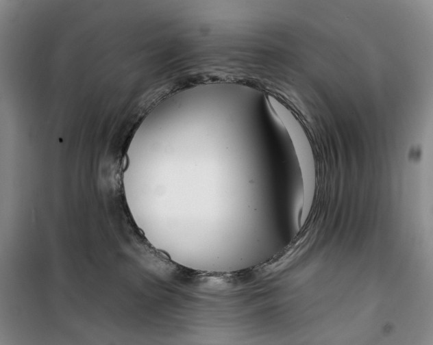 X0000099440285200805301457