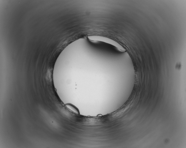 X0000099440286200805301457