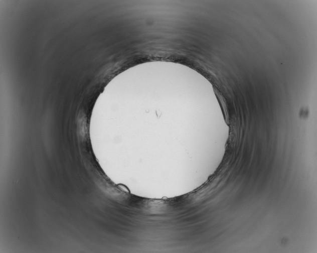 X0000099440287200805301458