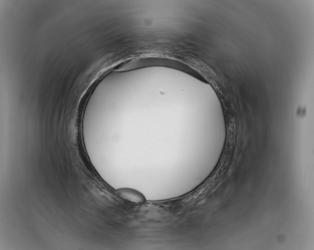 X0000099440290200805301457