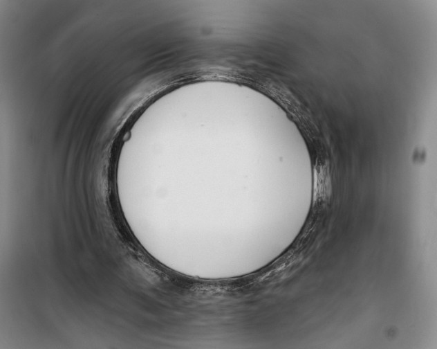 X0000099440291200805301457