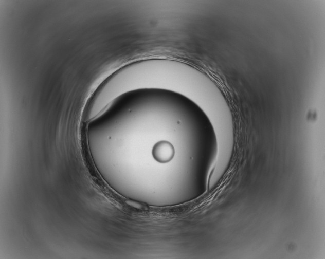 X0000099440292200805301457