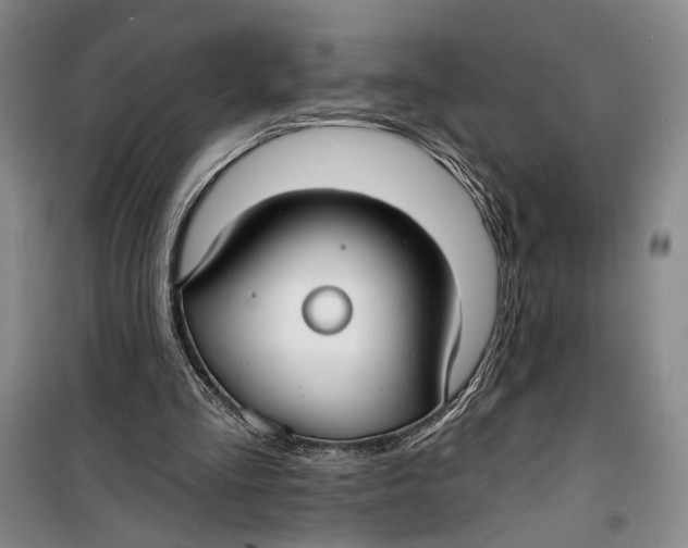 X0000099440293200805301457