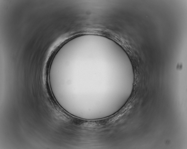 X0000099440294200805301457