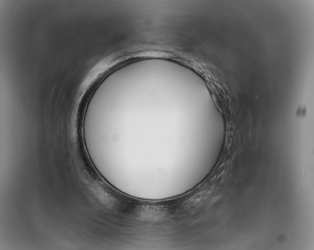 X0000099440296200805301457