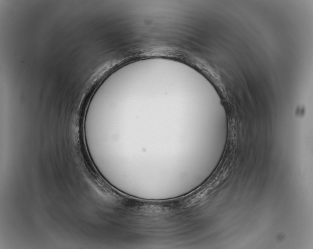 X0000099440298200805301457