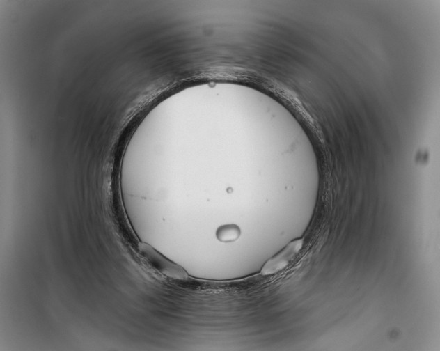 X0000099440299200805301457