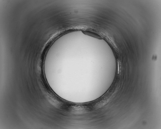 X0000099440300200805301457