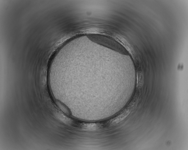 X0000099440301200805301457