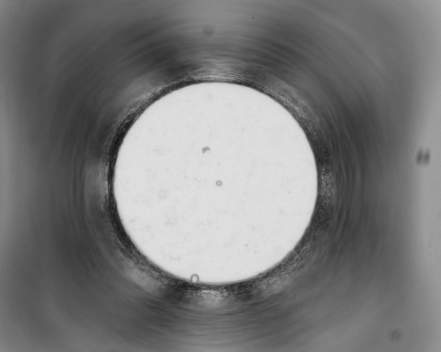 X0000099440302200805301457