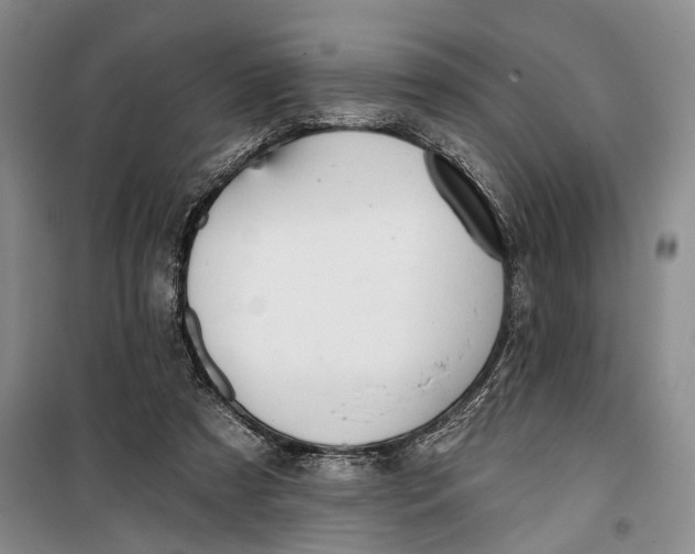 X0000099440305200805301457