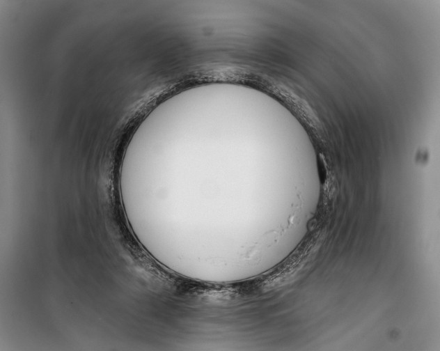 X0000099440306200805301457