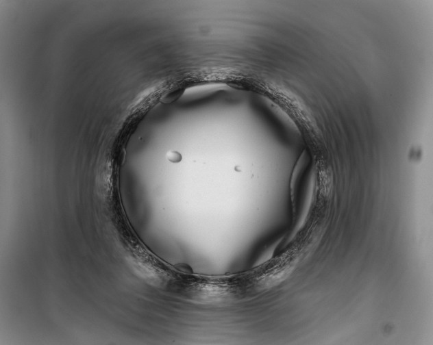 X0000099440308200805301457