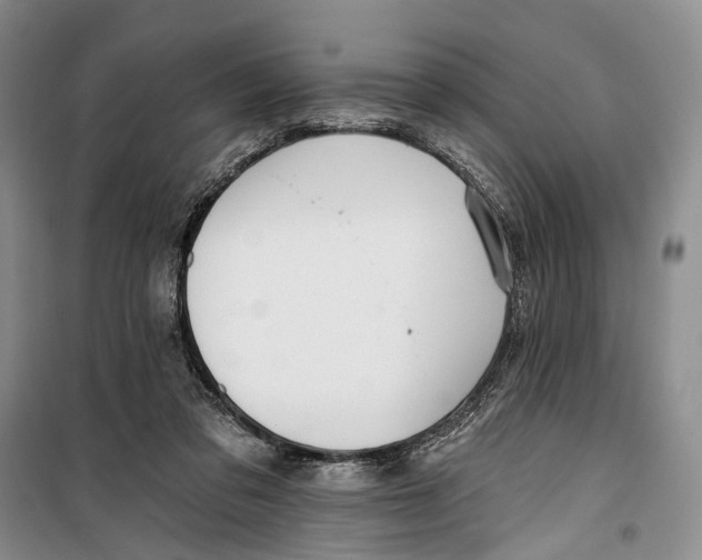 X0000099440309200805301456