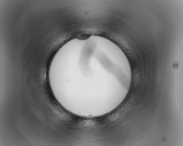 X0000099440310200805301456