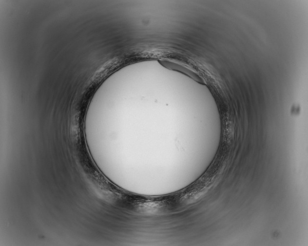 X0000099440312200805301456