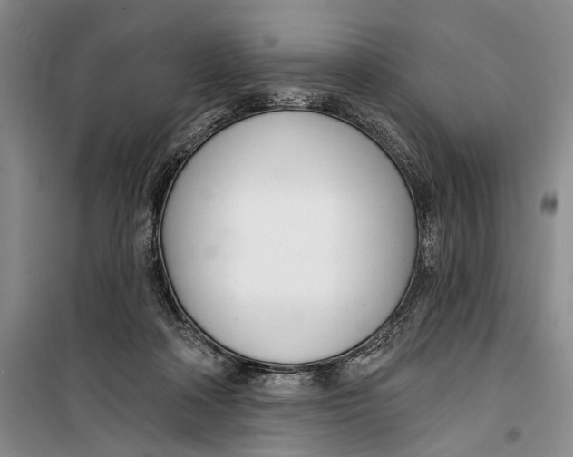 X0000099440314200805301456